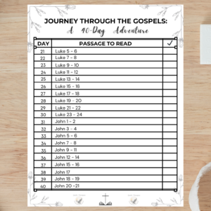 Bundle of 3 Different 40-Day Bible Reading Plans
